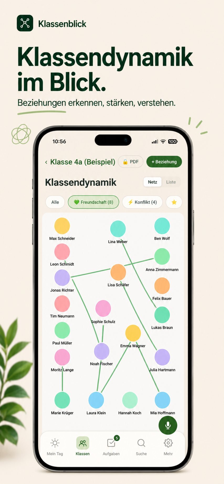 Klassendynamik-Netz